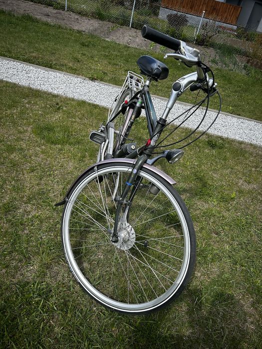 Rower męski Gazelle