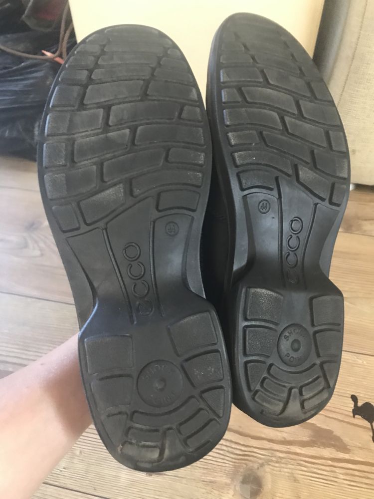 Ecco 510184 shop