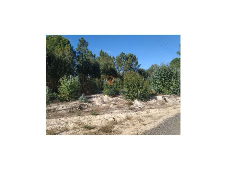 Terreno rústico com mais 4 hectares - Pegões — Pegões, Setúbal