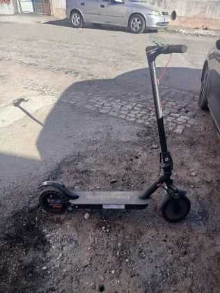 Trotinete urban glide
