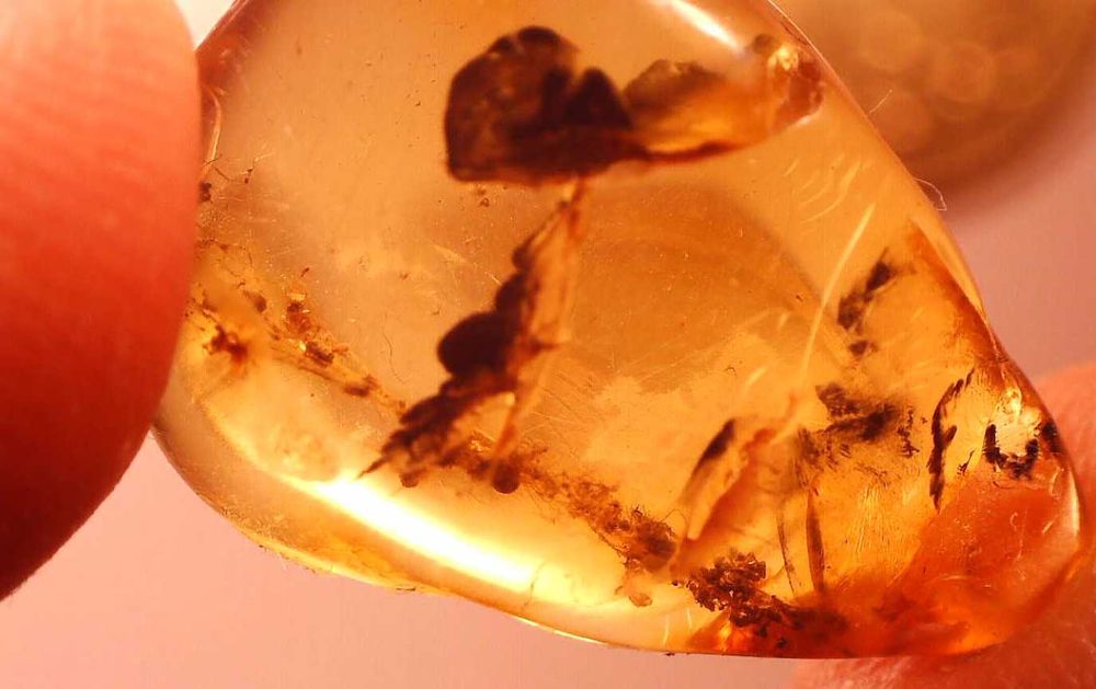 Bursztyn inkluzja Babie lato ? pajęczyna ? 40 mln lat Eocen