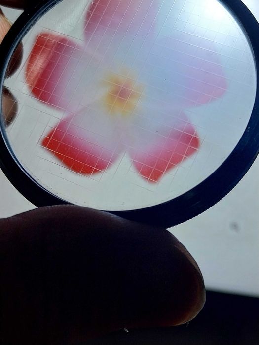 Vendo vários filtros de efeitos da minha coleção