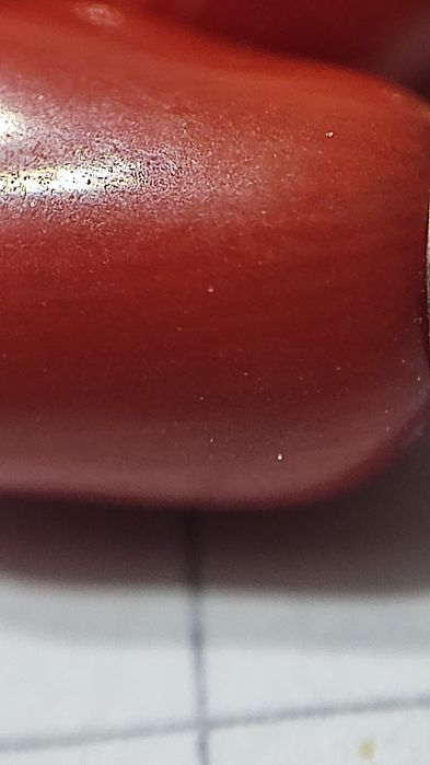 Срібний комплект, позолота, натуральний корал.