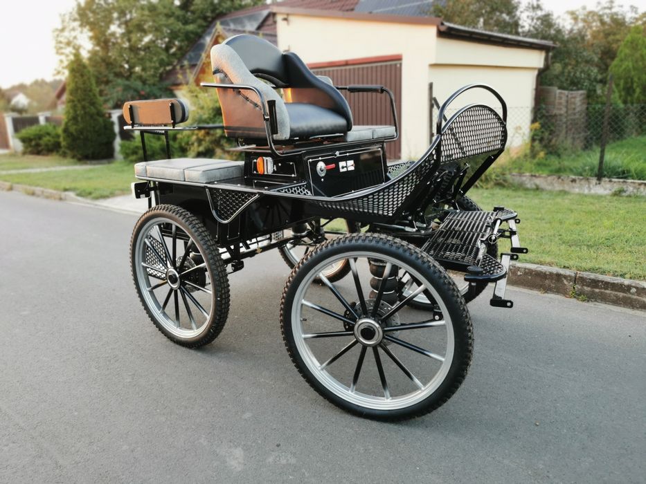 Bryczka maraton trening