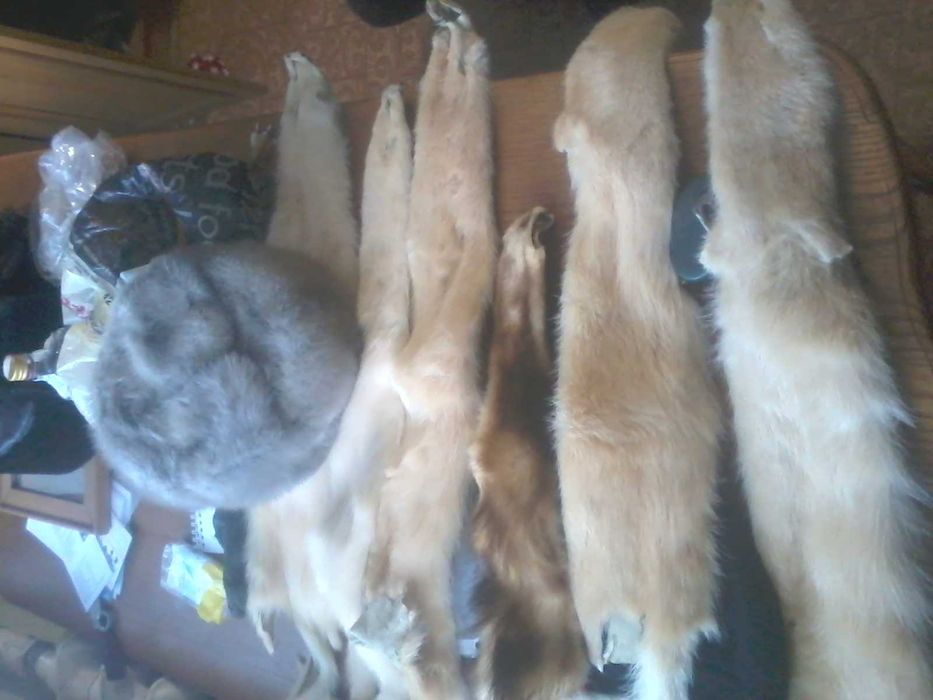 Норка. Шкурка норки