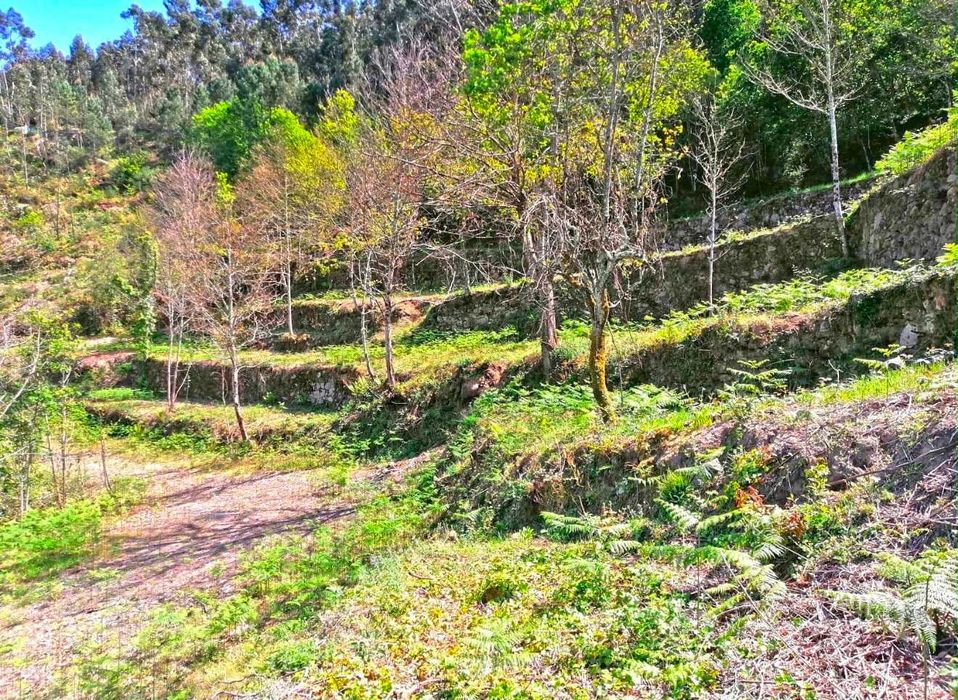 Quinta no Douro para Turismo Rural