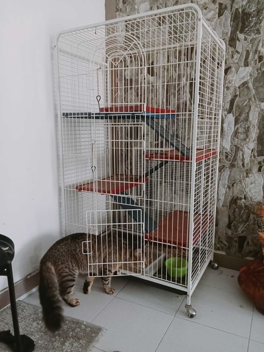 Gaiola para chinchila/furão etc