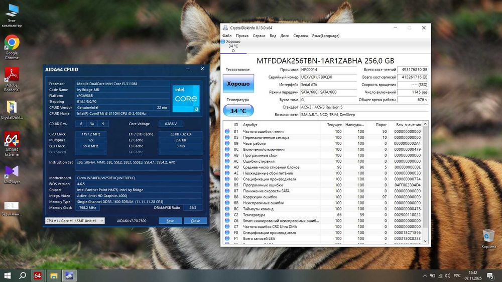 Terra 1748P (17.3 FHD/Core i3 3110M/RAM 4/SSD 256/Intel HD)