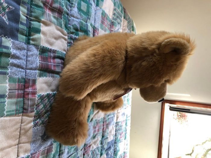 Urso de Peluche grande, como NOVO
