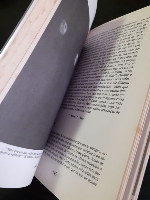 Beckett. Em português. Ludovic Janvier