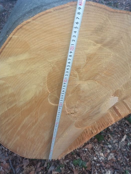 BUK  tartaczny dłużyca Cena do uzgodnienia