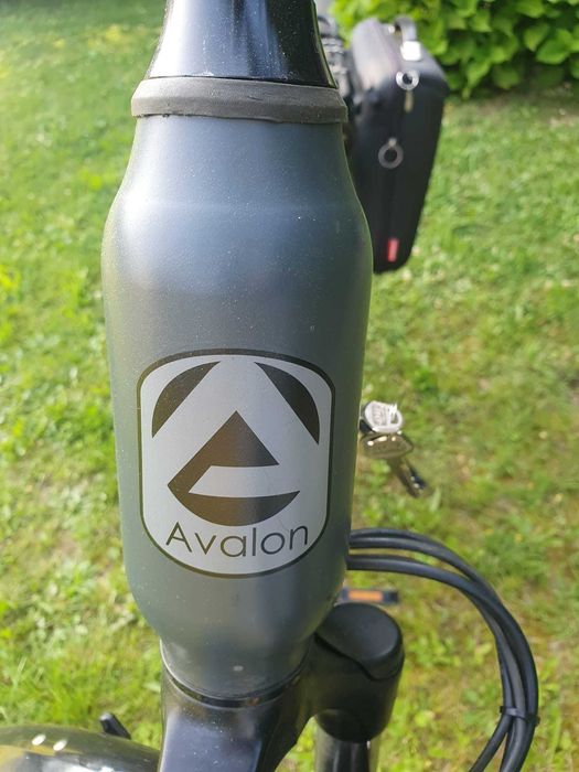 Rower elektrycznyAvalon E-Motive