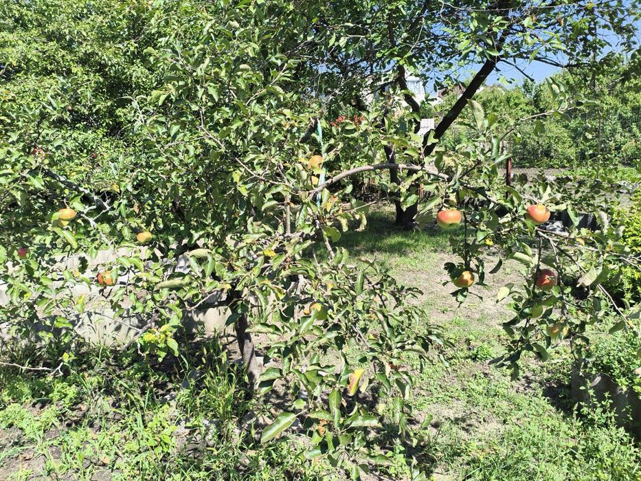 Продажа участка земли