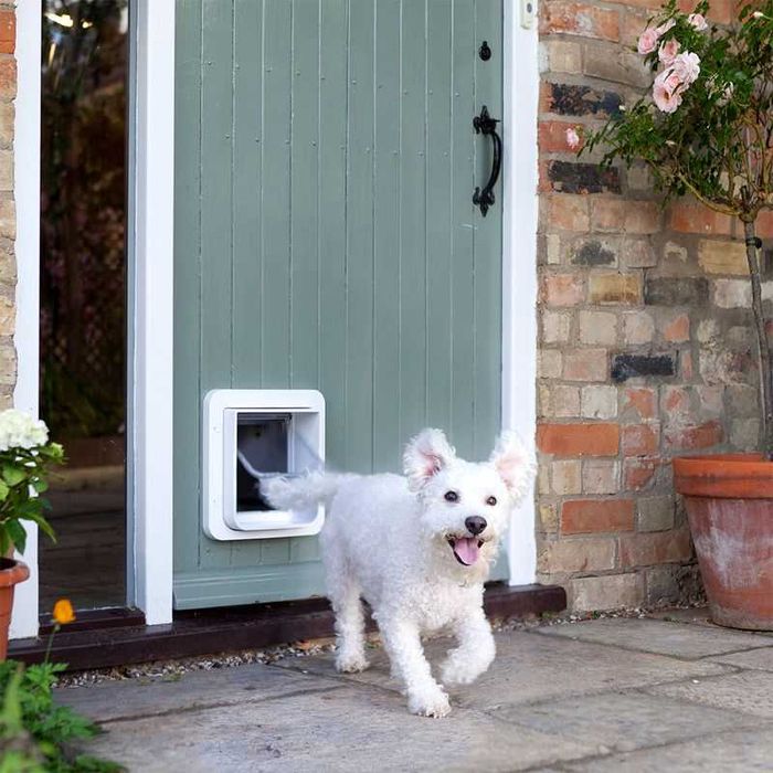 Duże drzwiczki SureFlap z czytnikiem mikrochipów marki Sure Petcare