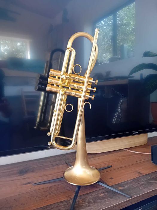 CarolBrass Trombeta Trumpet Dutch Jazz Bastard