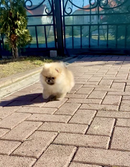 Ексклюзивна дівчинка!