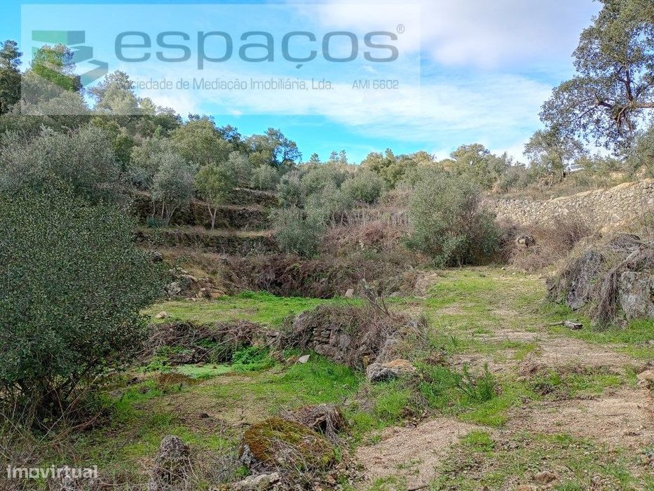Terreno Rústico a 15 minutos de Castelo Branco