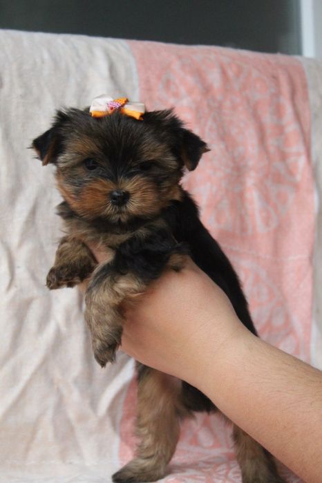 Міні дівчинка та хлопчик