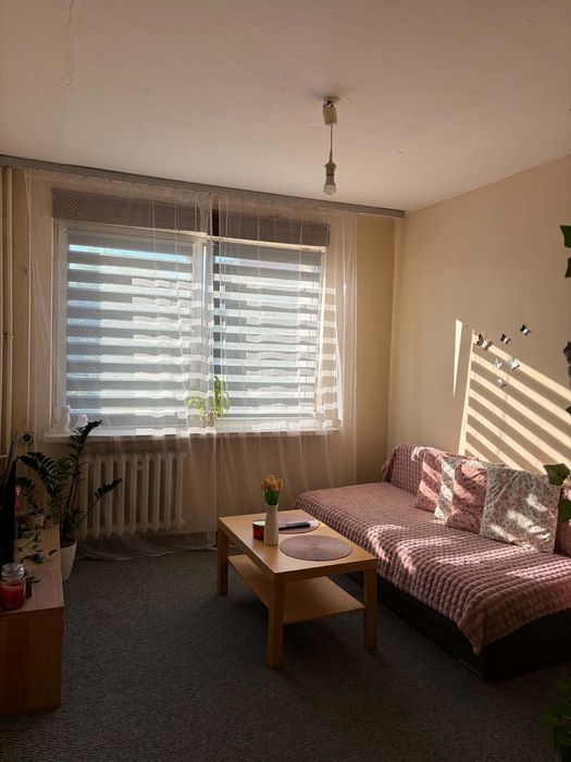 Kawalerka na wynajem ul Dąbrowskiego