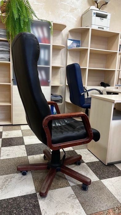 Шкіряне крісло Novy styl