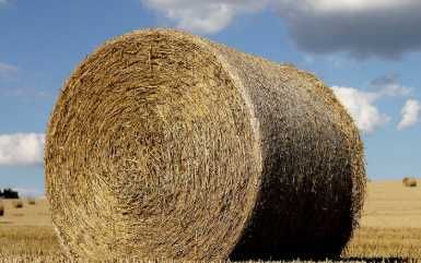 bele slomy 2025 mozliwy dowoz za doplatą