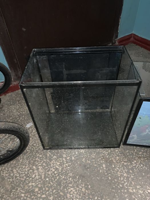 Продам два акваріуми з усім начинням