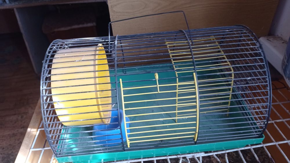 Домашні хомячки джунгарики Клітки