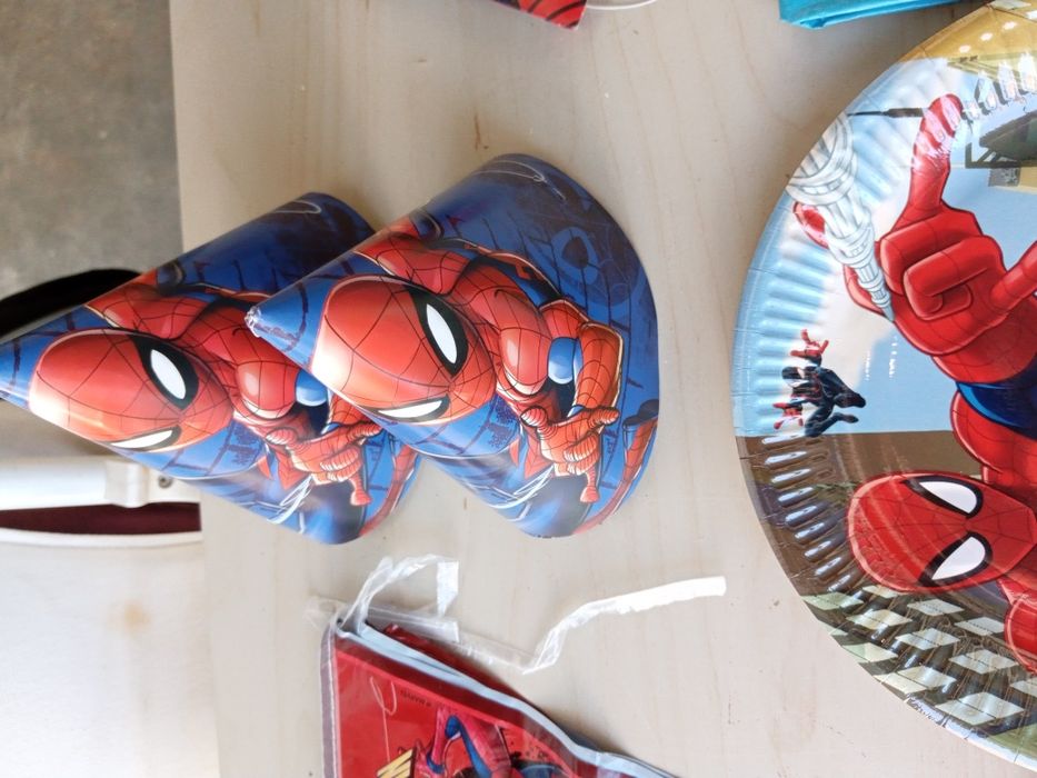 Festa/Aniversário homem aranha