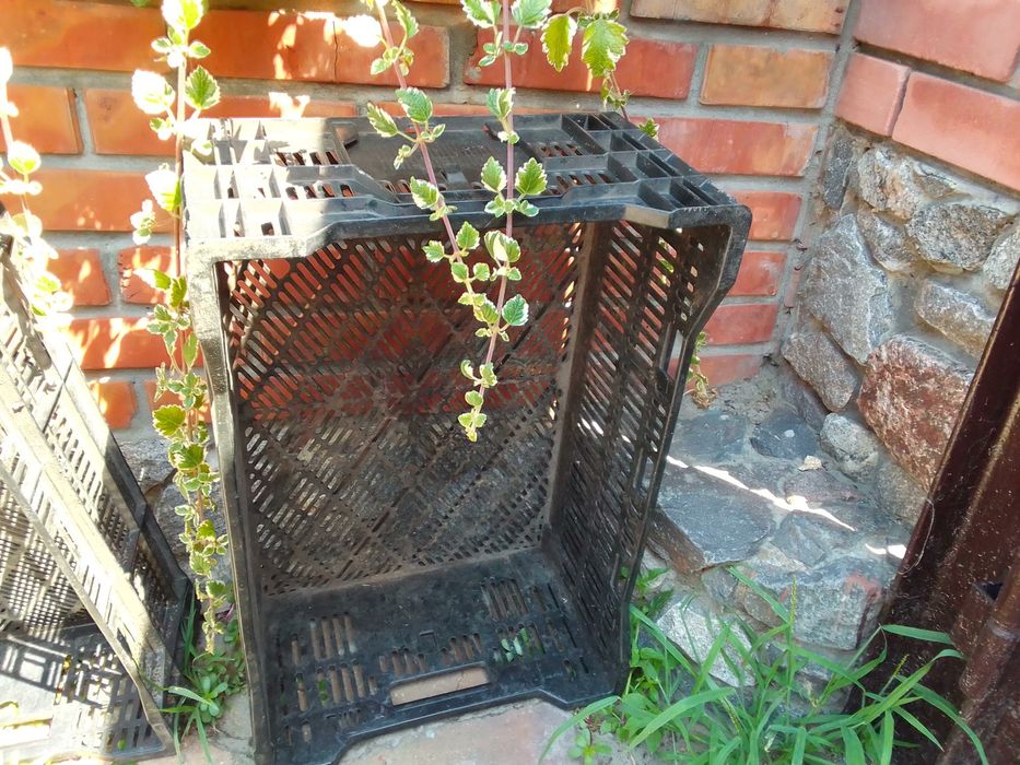 Продам пластиковые ящики