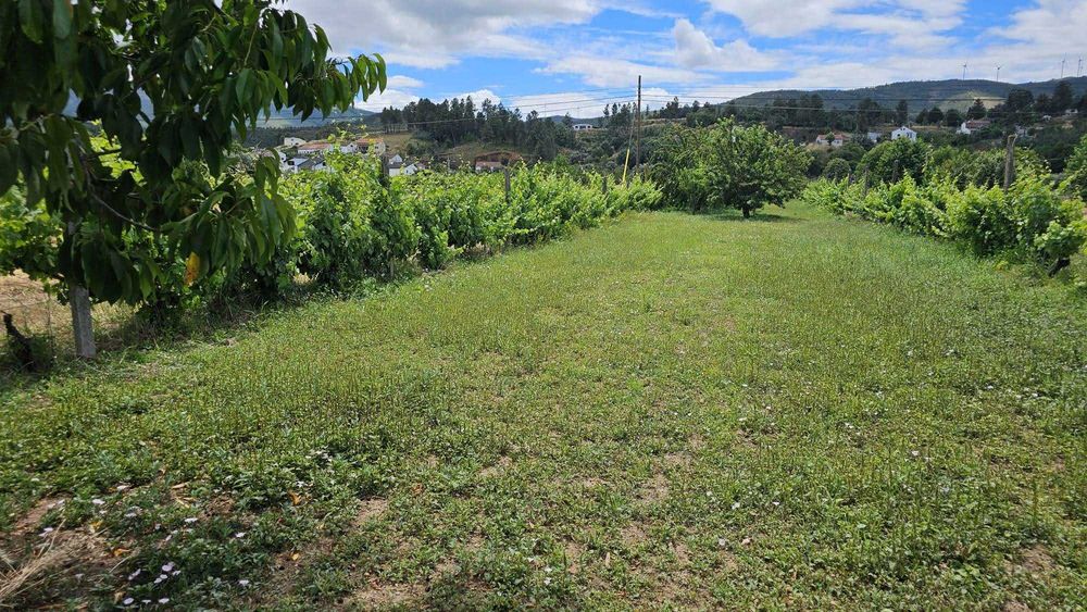 Terreno com Viabilidade de Construção em Castelejo, Fundão - 31.500€