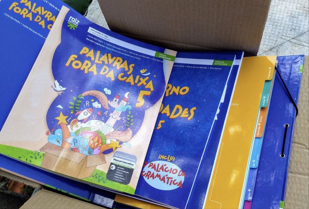 Dossier do professor palavras fora da caixa