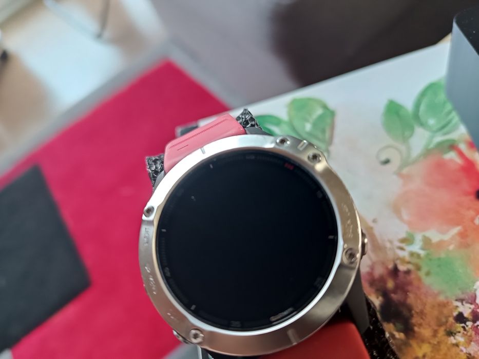 Garmin Fenix 6  47 mm