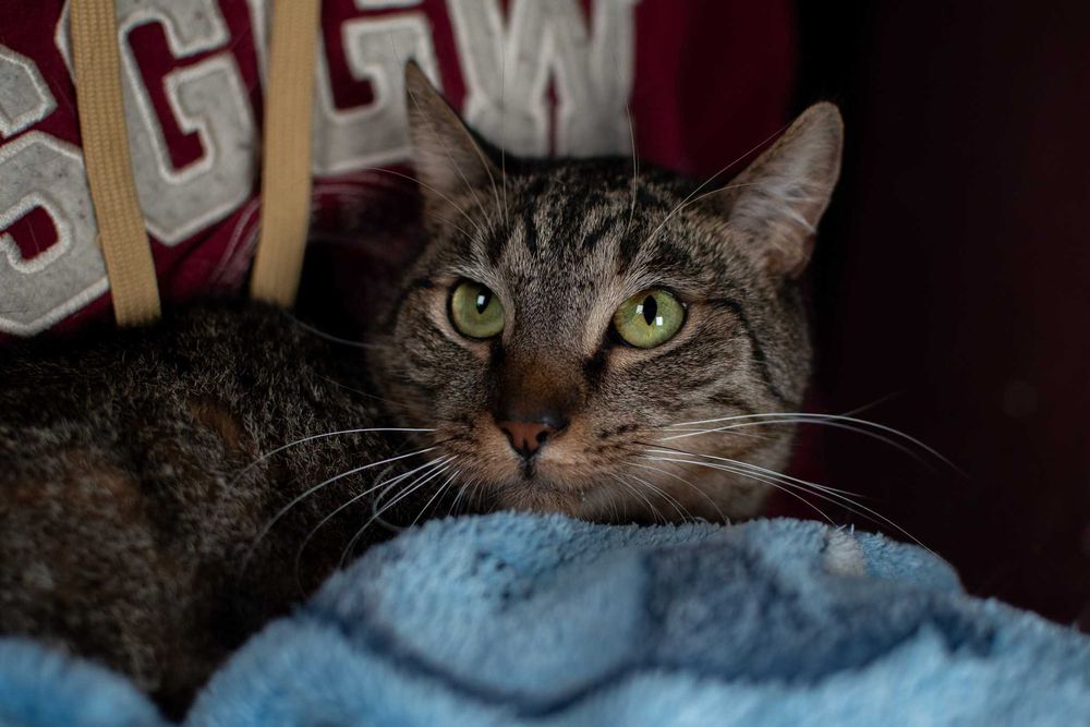 Jakiż to chłopiec piękny i młody? Świteź!