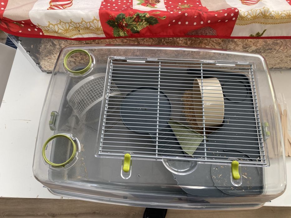 Gaiola Hamster Com 1 mes de uso