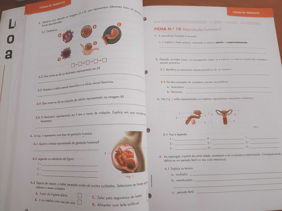 Caderno de actividades de Ciências 6ºano
