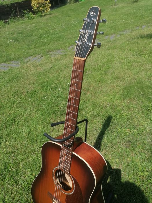 Seagull Entourage Rustic Qit