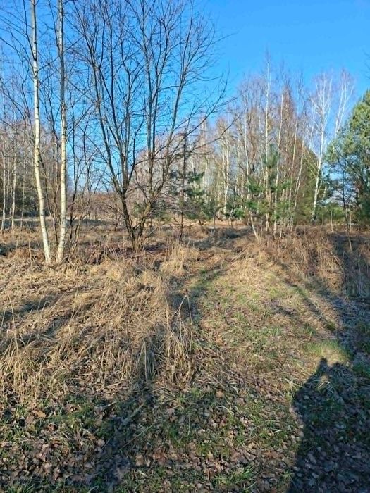 Działka budowlana Radziwiłłów - Widok 3
