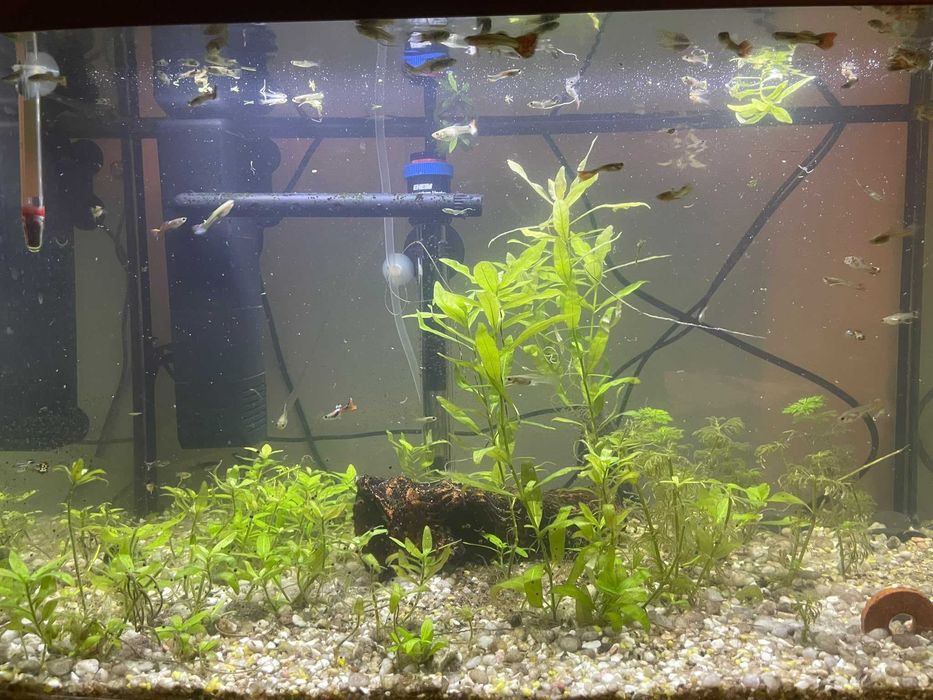 Vendo aquario completo