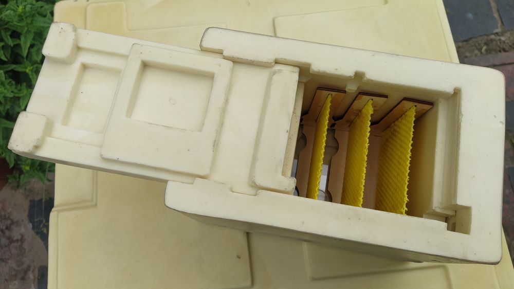 Нуклеус ППУ, Вулик