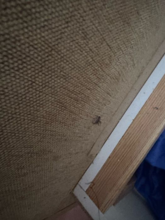 Крісло розкладне