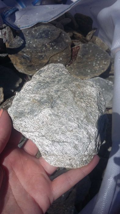 Łupek srebrzysty SILVER gabion NOWOŚĆ