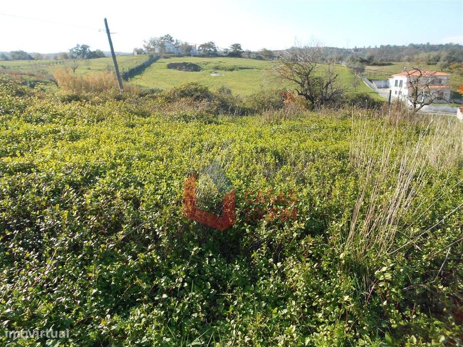 - BAIXA DE PREÇO - Terreno de cultura com 4 artigos com 1110m2 no t... — Reguengo do Fetal, Leiria