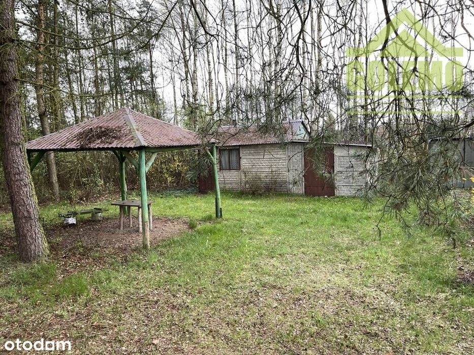 Działka Budowlano-Rekreacyjna / 8900 m² / Łochynia - Widok 5