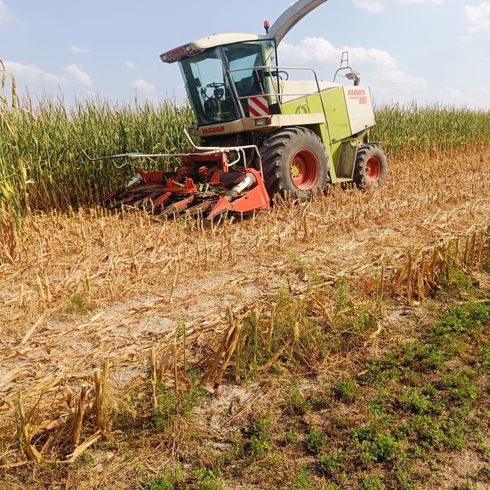 Claas Jaguar 860