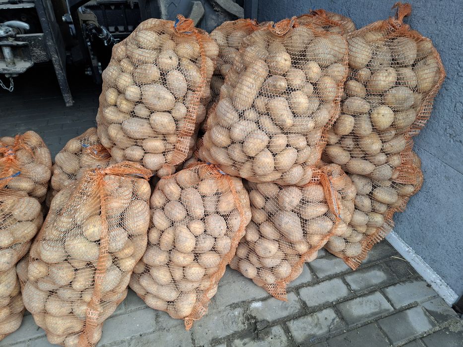 Ziemniaki jadalne