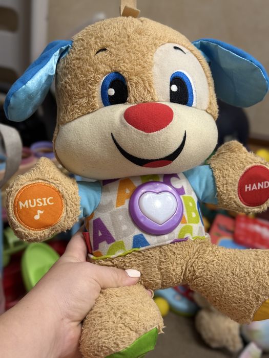 Умный щенок fisher