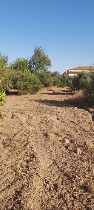 Oportunidade para passatempo de Agricultura no centro de S. Brás