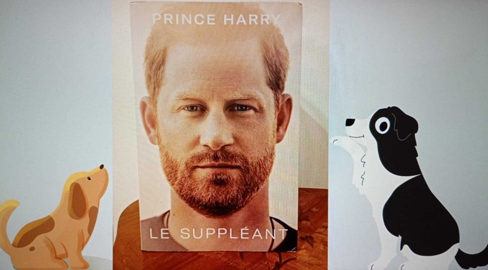 Książka po francusku LE SUPPLÉANT- PRINCE HARRY
