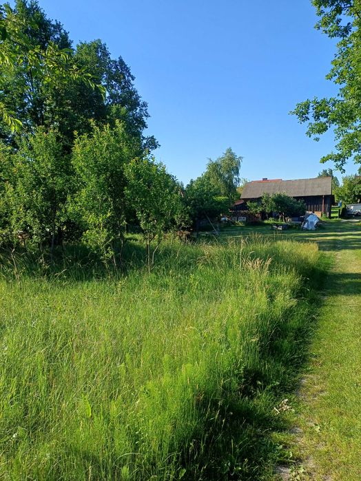 Sprzedam dom jednorodzinny - Widok 6