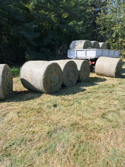 Sprzedam sianokiszonkę